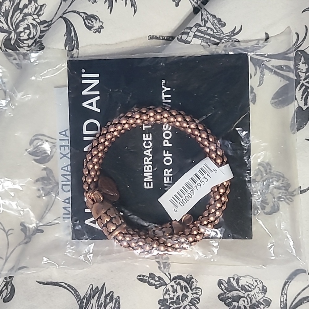 Disney Alex & Ani NEW W/Tag